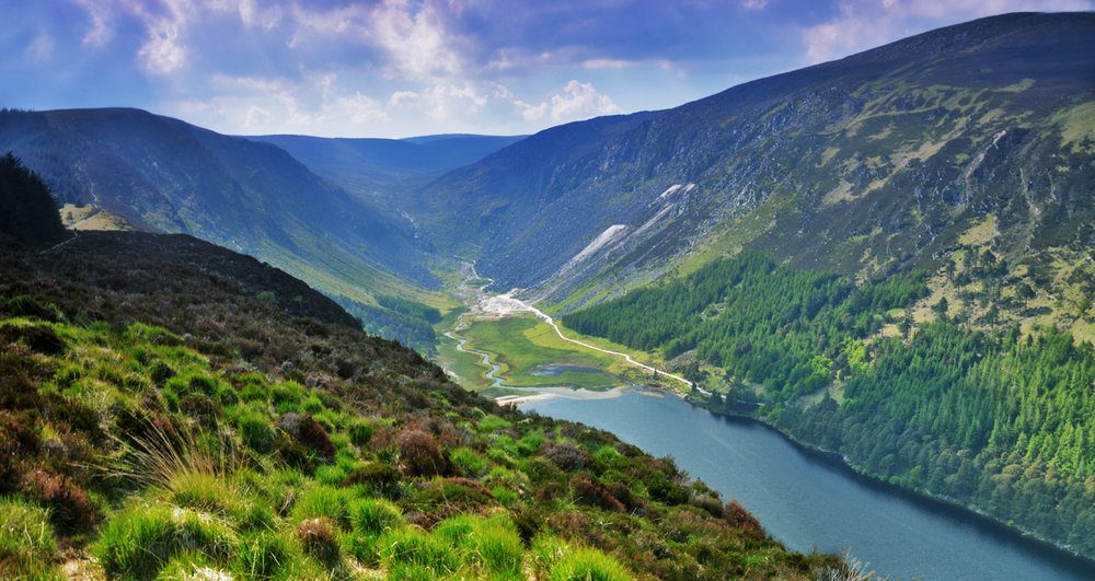 O'Dowd Oil Management Services